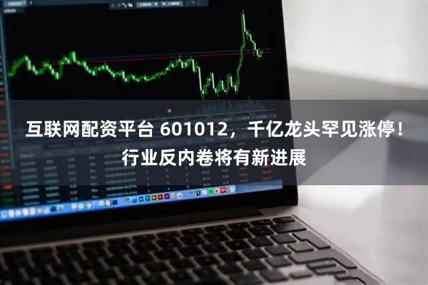 互联网配资平台 601012，千亿龙头罕见涨停！行业反内卷将有新进展