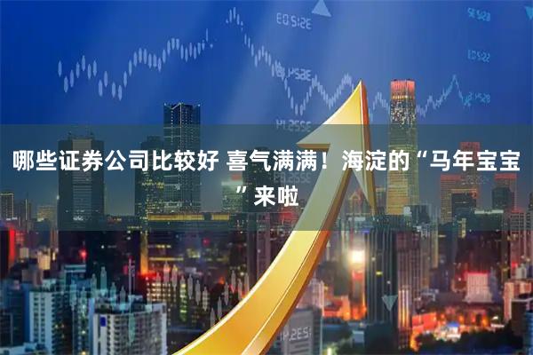哪些证券公司比较好 喜气满满！海淀的“马年宝宝”来啦
